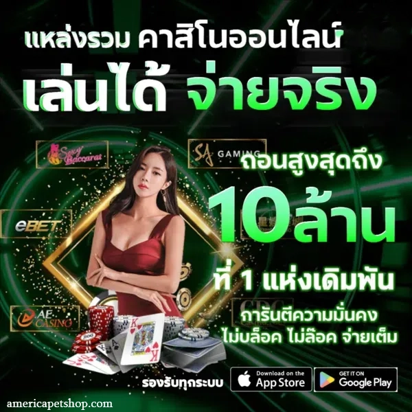 Rogerclub เว็บตรง